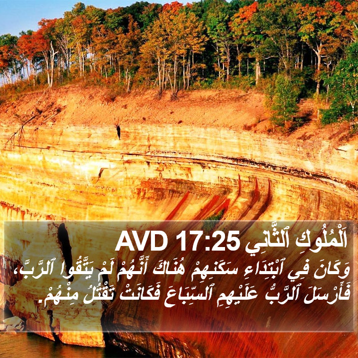 اَلْمُلُوكِ ٱلثَّانِي 17:25 AVD Bible Study