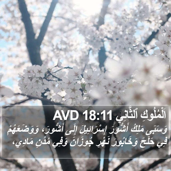 اَلْمُلُوكِ ٱلثَّانِي 18:11 AVD Bible Study