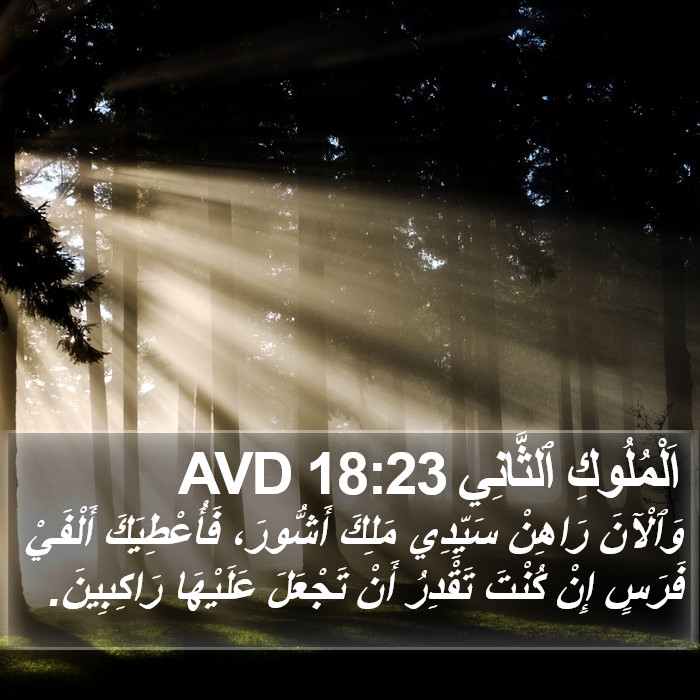 اَلْمُلُوكِ ٱلثَّانِي 18:23 AVD Bible Study