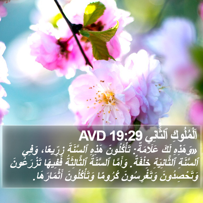 اَلْمُلُوكِ ٱلثَّانِي 19:29 AVD Bible Study