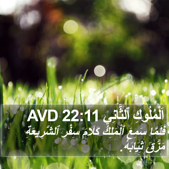 اَلْمُلُوكِ ٱلثَّانِي 22:11 AVD Bible Study