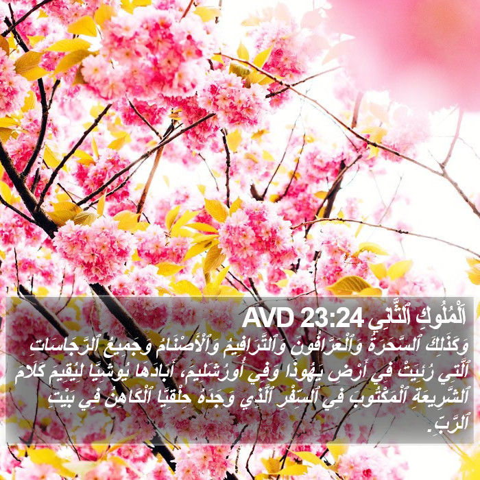 اَلْمُلُوكِ ٱلثَّانِي 23:24 AVD Bible Study