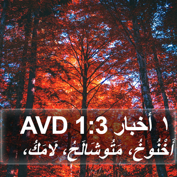 ١ أخبار 1:3 AVD Bible Study