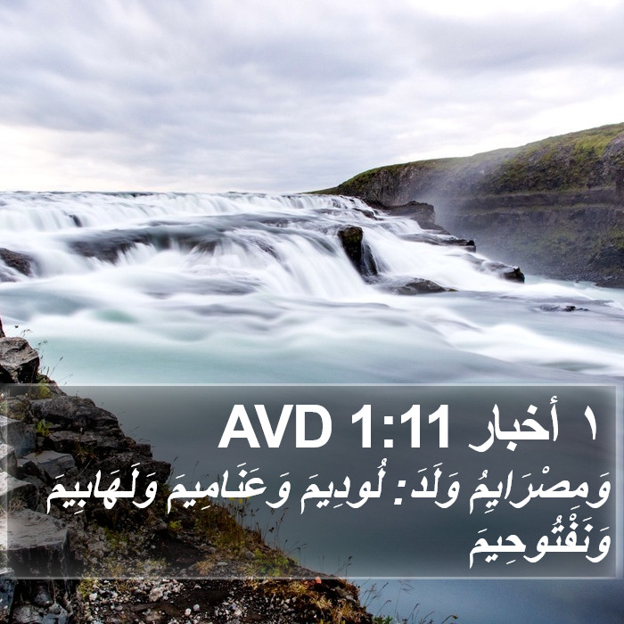 ١ أخبار 1:11 AVD Bible Study