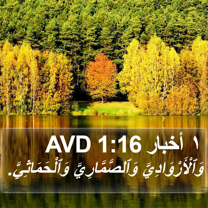 ١ أخبار 1:16 AVD Bible Study