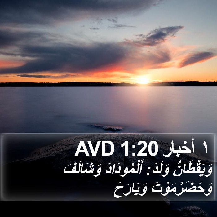 ١ أخبار 1:20 AVD Bible Study