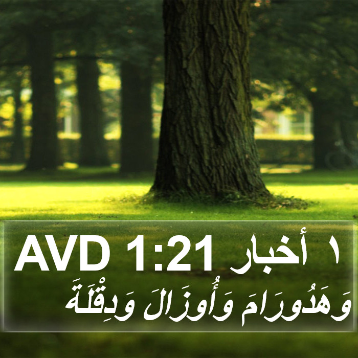 ١ أخبار 1:21 AVD Bible Study