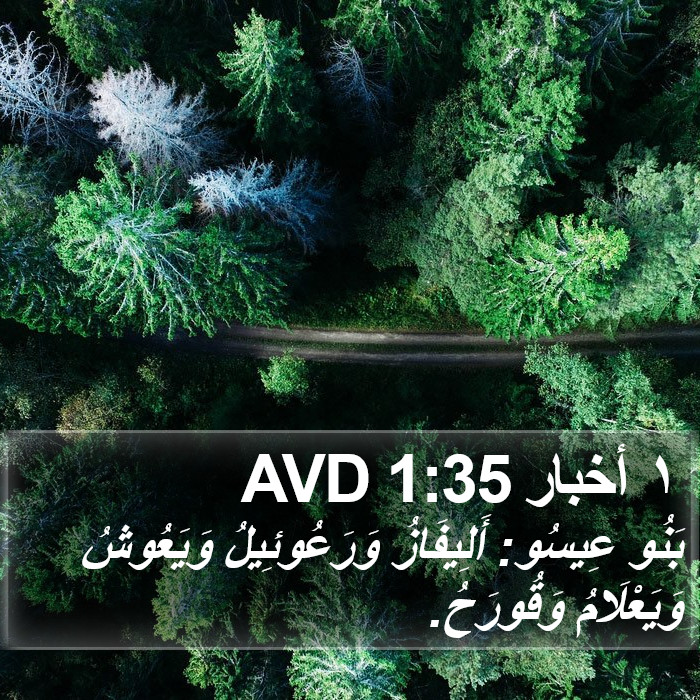 ١ أخبار 1:35 AVD Bible Study