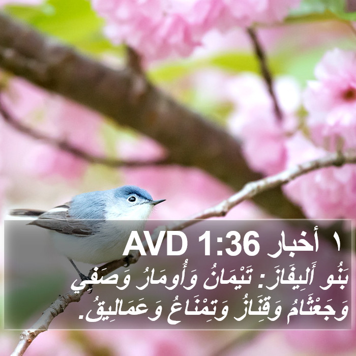 ١ أخبار 1:36 AVD Bible Study