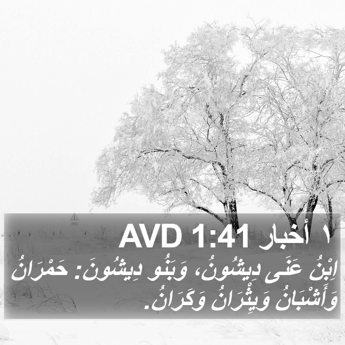 ١ أخبار 1:41 AVD Bible Study