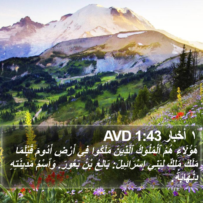 ١ أخبار 1:43 AVD Bible Study