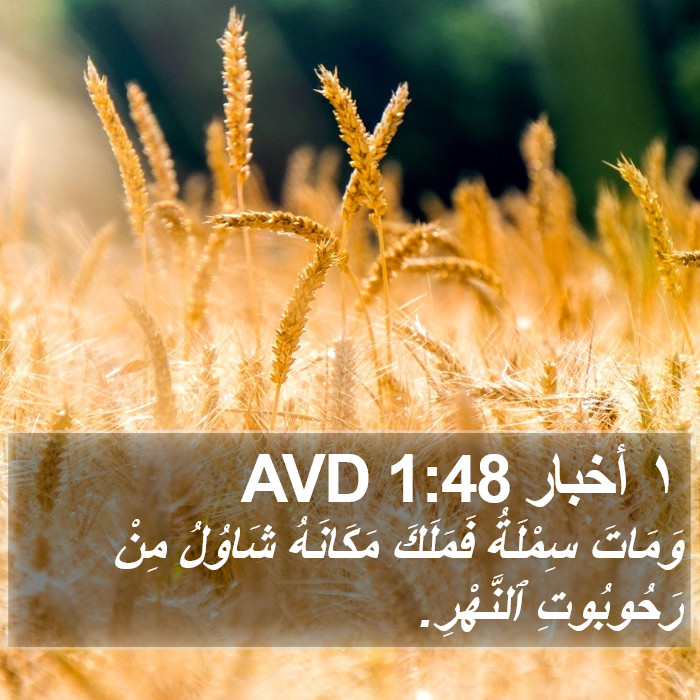 ١ أخبار 1:48 AVD Bible Study