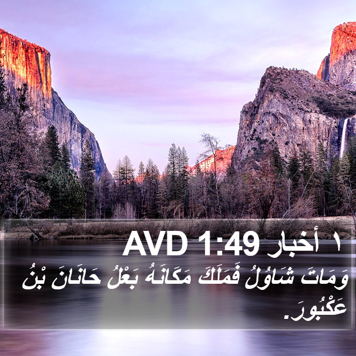 ١ أخبار 1:49 AVD Bible Study