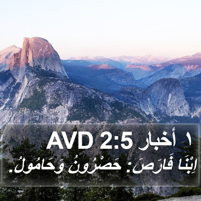 ١ أخبار 2:5 AVD Bible Study