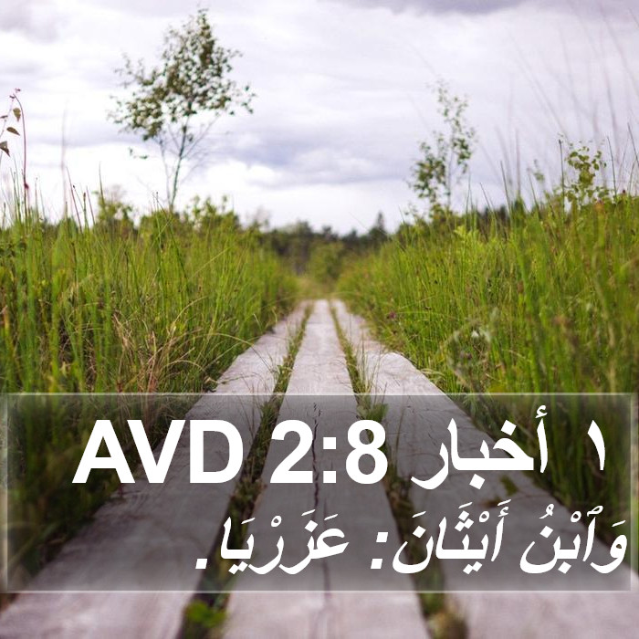 ١ أخبار 2:8 AVD Bible Study