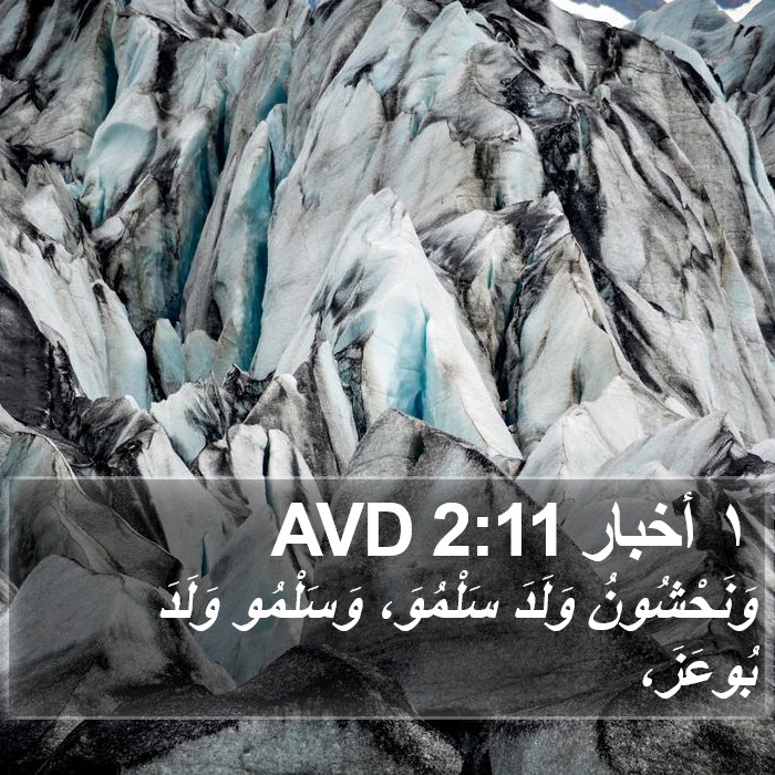 ١ أخبار 2:11 AVD Bible Study