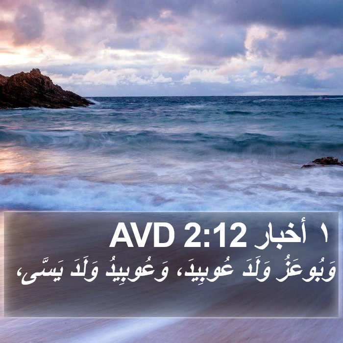 ١ أخبار 2:12 AVD Bible Study