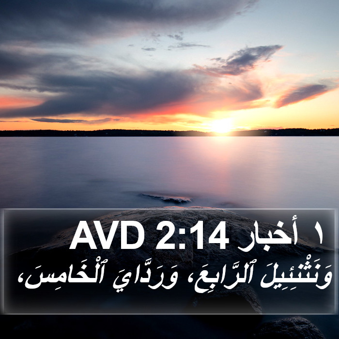 ١ أخبار 2:14 AVD Bible Study