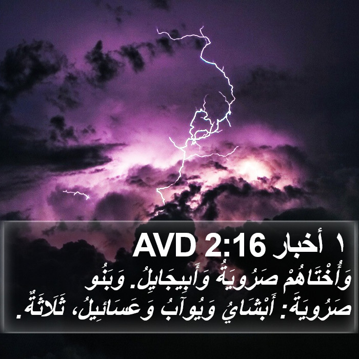 ١ أخبار 2:16 AVD Bible Study