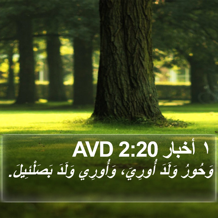 ١ أخبار 2:20 AVD Bible Study