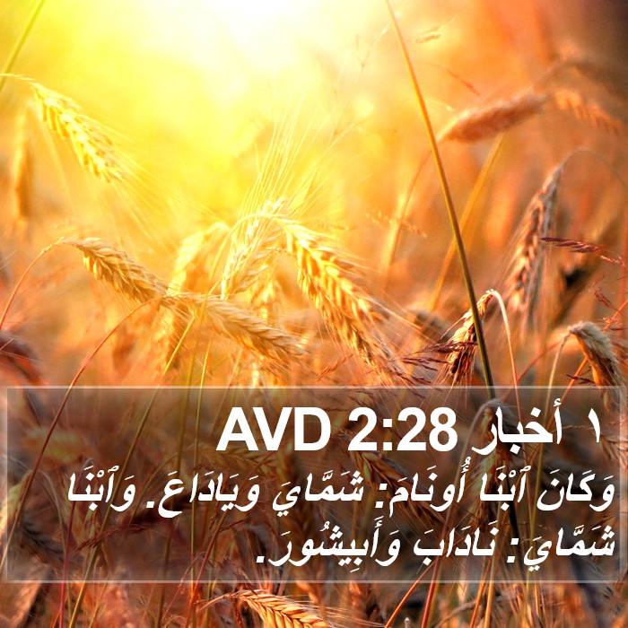 ١ أخبار 2:28 AVD Bible Study