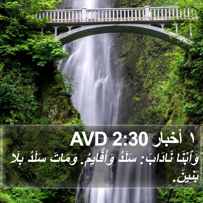 ١ أخبار 2:30 AVD Bible Study