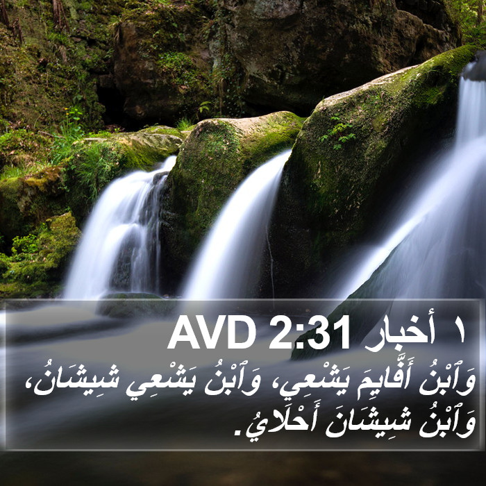 ١ أخبار 2:31 AVD Bible Study