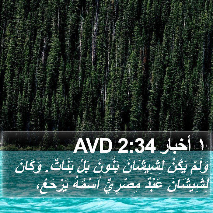 ١ أخبار 2:34 AVD Bible Study