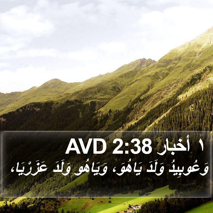 ١ أخبار 2:38 AVD Bible Study