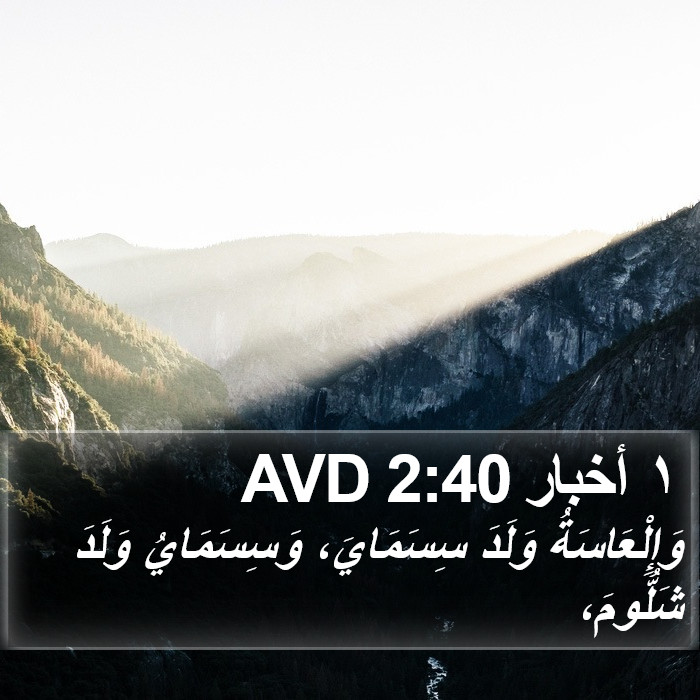 ١ أخبار 2:40 AVD Bible Study