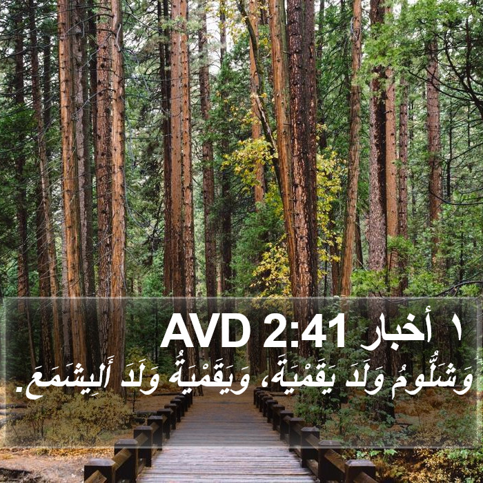 ١ أخبار 2:41 AVD Bible Study