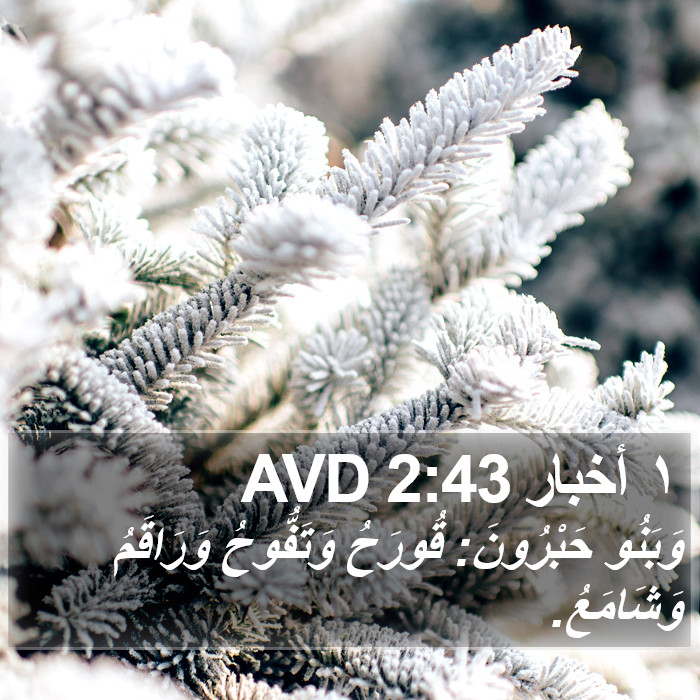 ١ أخبار 2:43 AVD Bible Study