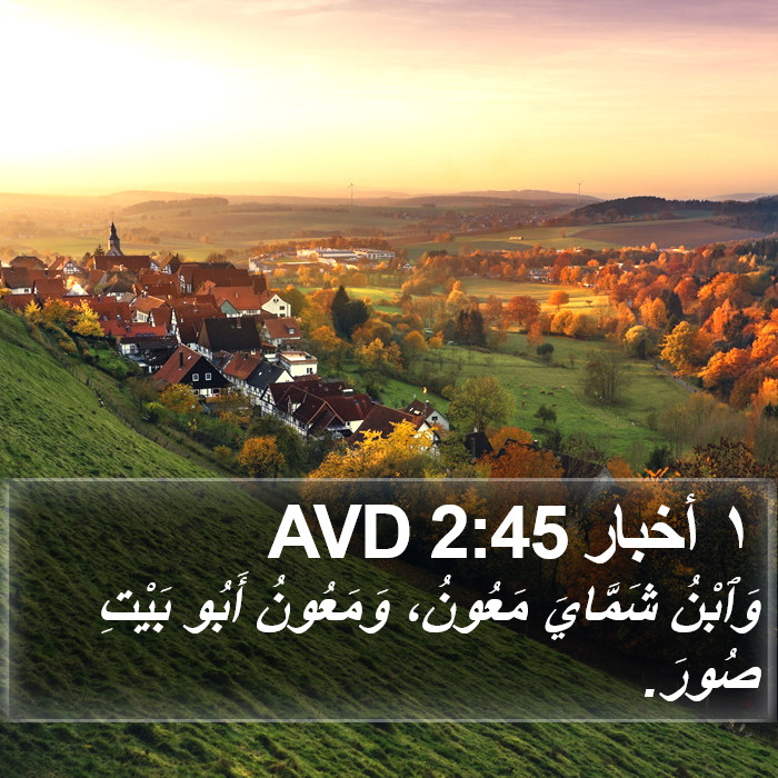 ١ أخبار 2:45 AVD Bible Study