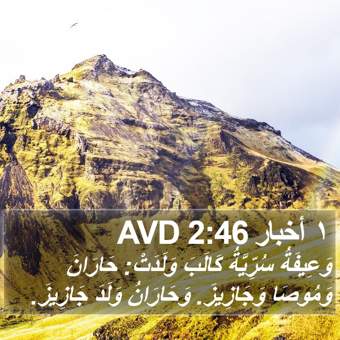 ١ أخبار 2:46 AVD Bible Study