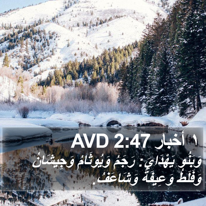 ١ أخبار 2:47 AVD Bible Study