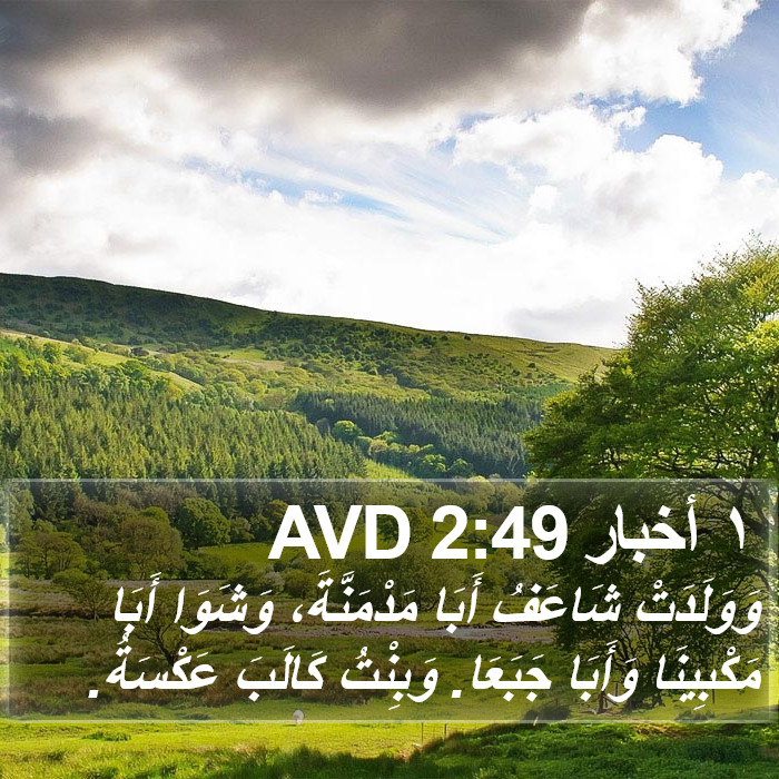 ١ أخبار 2:49 AVD Bible Study