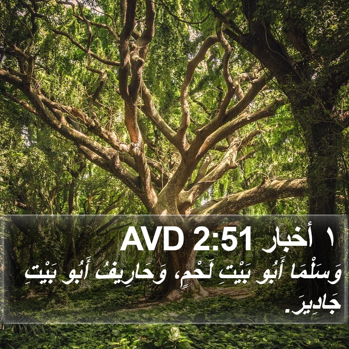 ١ أخبار 2:51 AVD Bible Study