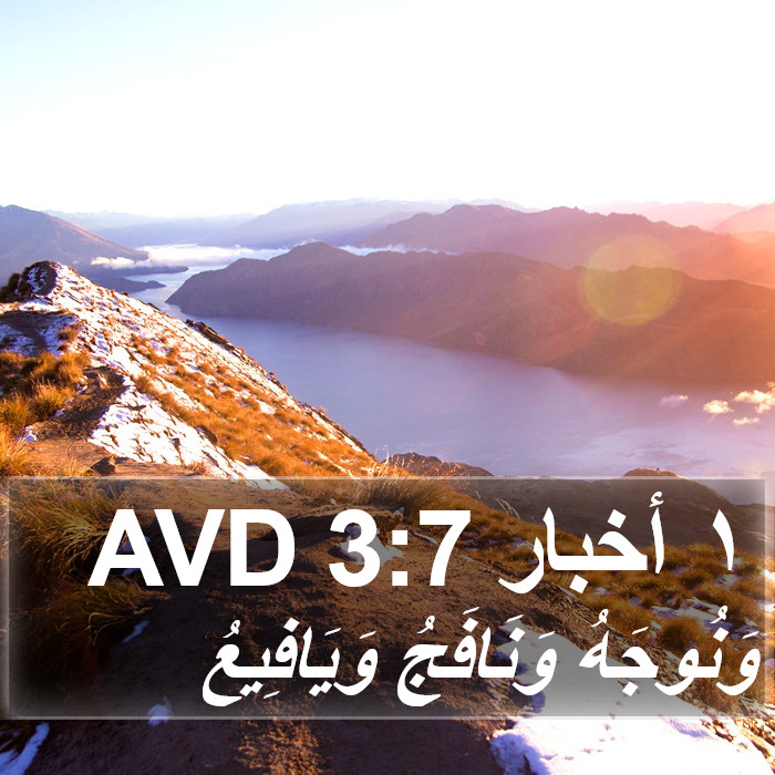 ١ أخبار 3:7 AVD Bible Study