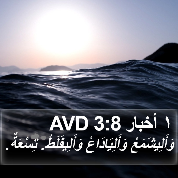 ١ أخبار 3:8 AVD Bible Study