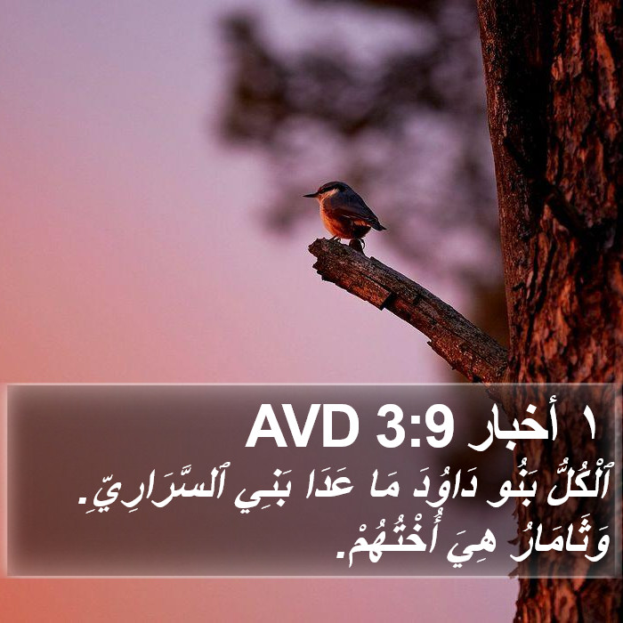 ١ أخبار 3:9 AVD Bible Study