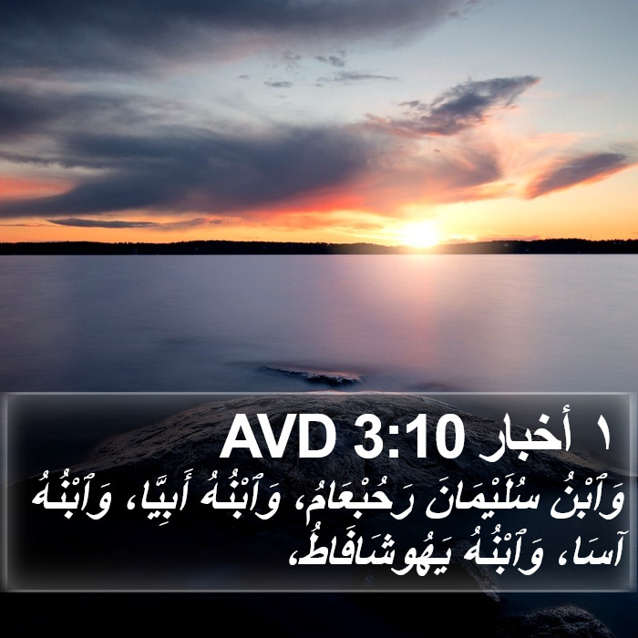 ١ أخبار 3:10 AVD Bible Study