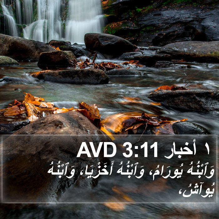 ١ أخبار 3:11 AVD Bible Study