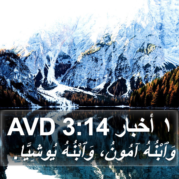١ أخبار 3:14 AVD Bible Study