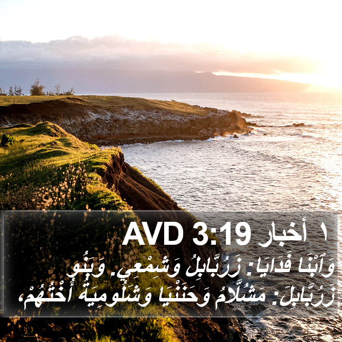 ١ أخبار 3:19 AVD Bible Study