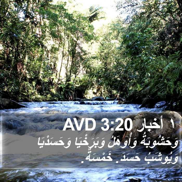 ١ أخبار 3:20 AVD Bible Study