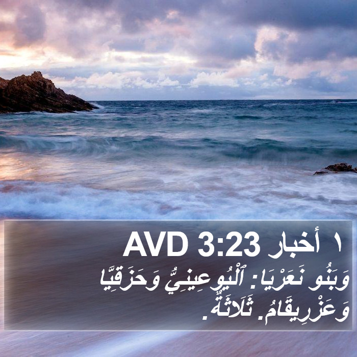 ١ أخبار 3:23 AVD Bible Study