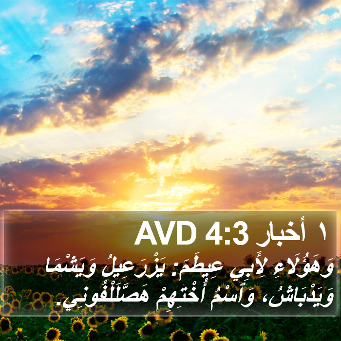 ١ أخبار 4:3 AVD Bible Study