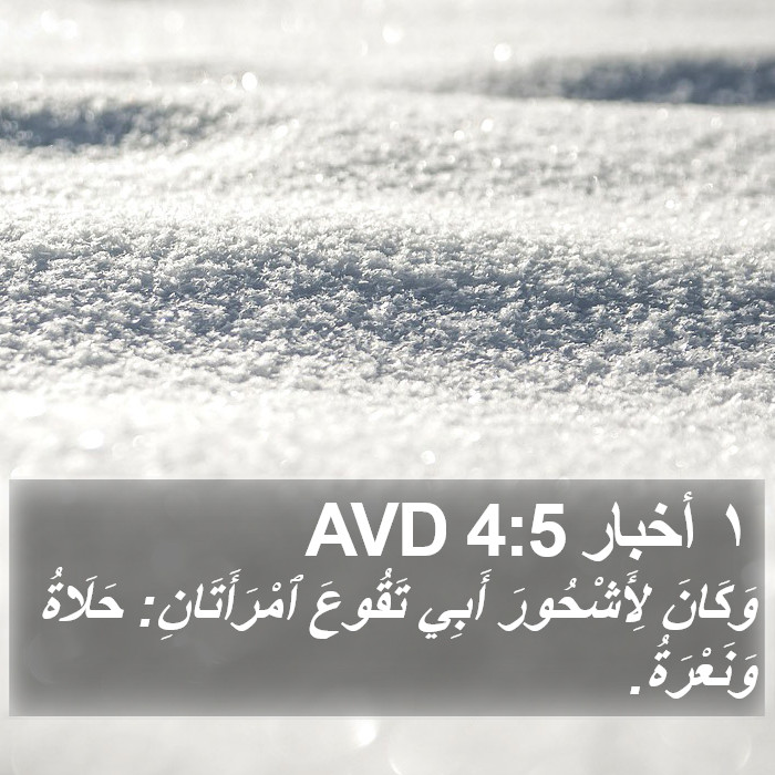 ١ أخبار 4:5 AVD Bible Study