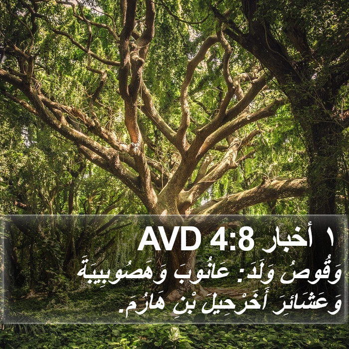 ١ أخبار 4:8 AVD Bible Study