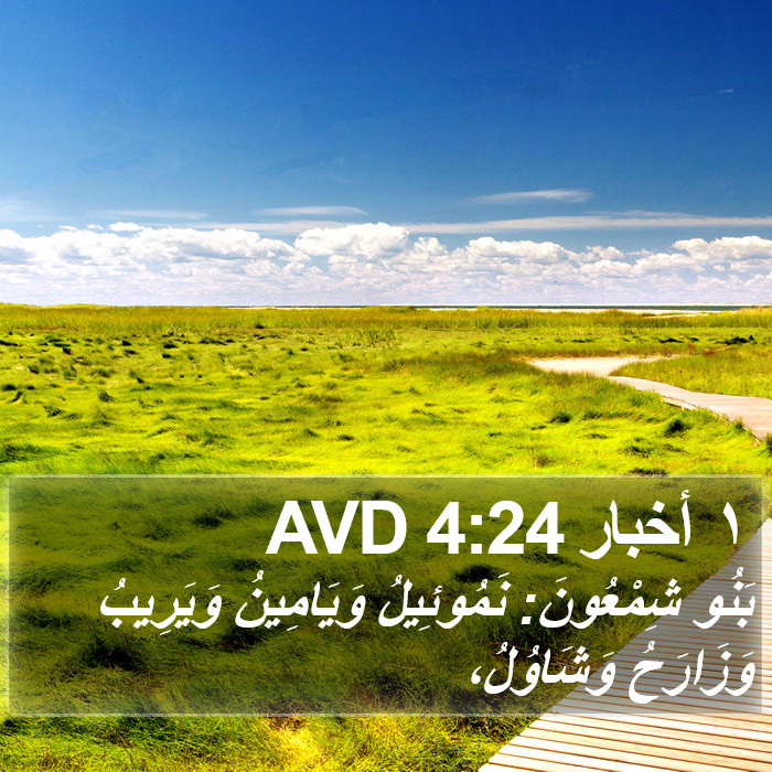 ١ أخبار 4:24 AVD Bible Study